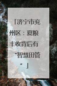 济宁市兖州区：夏粮丰收背后有“智慧田管”