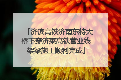 济滨高铁济南东特大桥下穿济莱高铁营业线架梁施工顺利完成