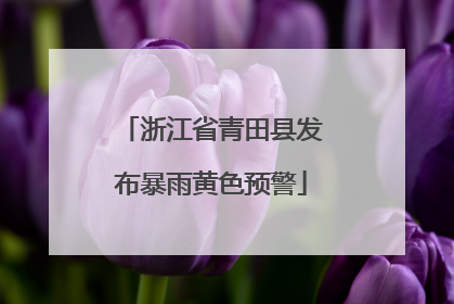浙江省青田县发布暴雨黄色预警