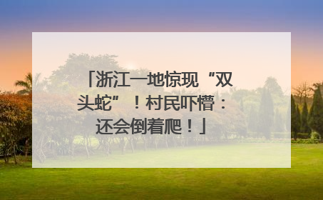 浙江一地惊现“双头蛇”！村民吓懵：还会倒着爬！