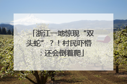 浙江一地惊现“双头蛇”？！村民吓懵：还会倒着爬