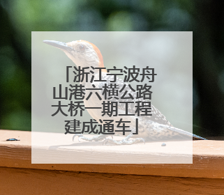浙江宁波舟山港六横公路大桥一期工程建成通车