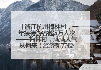 浙江杭州梅林村，一年接待游客超5万人次——梅林村，满满人气从何来（经济新方位·农村消费观察）