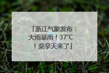 浙江气象发布：大雨暴雨！37℃！桑拿天来了