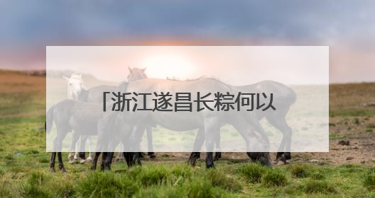浙江遂昌长粽何以“出圈”？“七十二变”中探新路