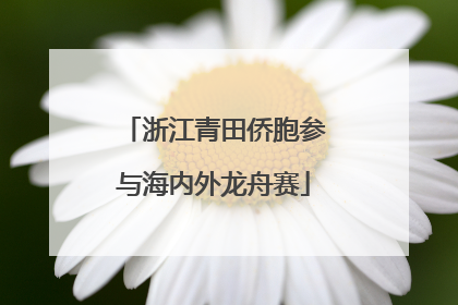 浙江青田侨胞参与海内外龙舟赛