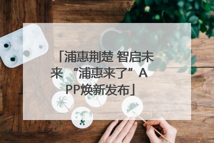 浦惠荆楚 智启未来 “浦惠来了”APP焕新发布