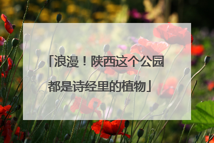 浪漫！陕西这个公园都是诗经里的植物