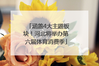 涵盖4大主题板块！河北将举办第六届体育消费季