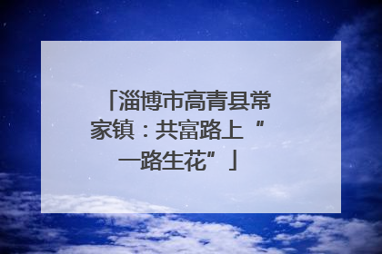 淄博市高青县常家镇：共富路上“一路生花”
