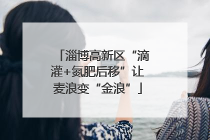 淄博高新区“滴灌+氮肥后移”让麦浪变“金浪”
