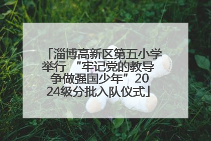 淄博高新区第五小学举行 “牢记党的教导 争做强国少年”2024级分批入队仪式