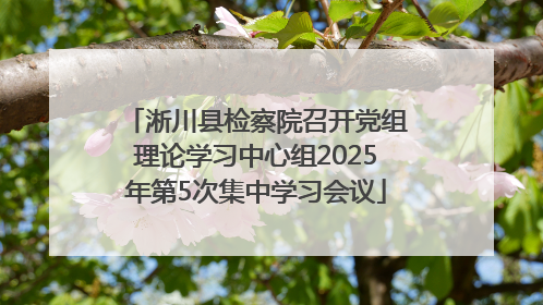 淅川县检察院召开党组理论学习中心组2025年第5次集中学习会议
