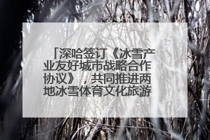 深哈签订《冰雪产业友好城市战略合作协议》，共同推进两地冰雪体育文化旅游高质量发展