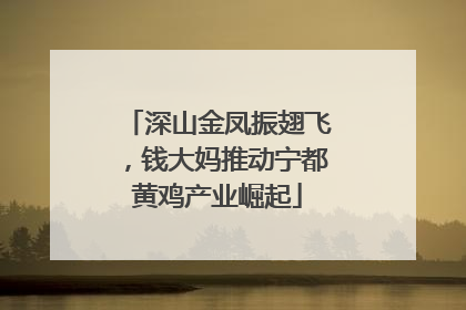 深山金凤振翅飞，钱大妈推动宁都黄鸡产业崛起