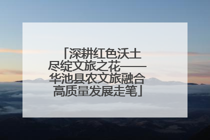 深耕红色沃土 尽绽文旅之花——华池县农文旅融合高质量发展走笔