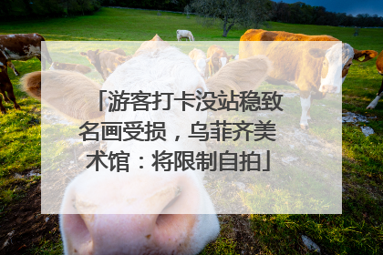 游客打卡没站稳致名画受损，乌菲齐美术馆：将限制自拍