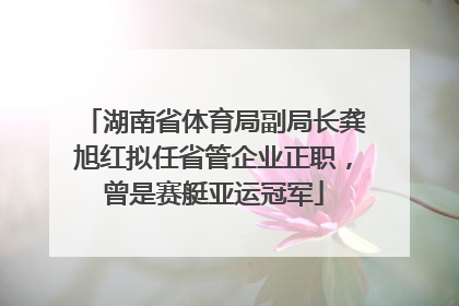 湖南省体育局副局长龚旭红拟任省管企业正职，曾是赛艇亚运冠军