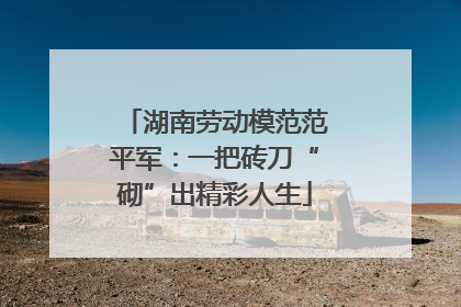 湖南劳动模范范平军：一把砖刀“砌”出精彩人生