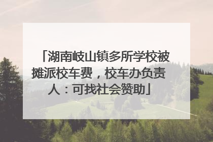 湖南岐山镇多所学校被摊派校车费，校车办负责人：可找社会赞助