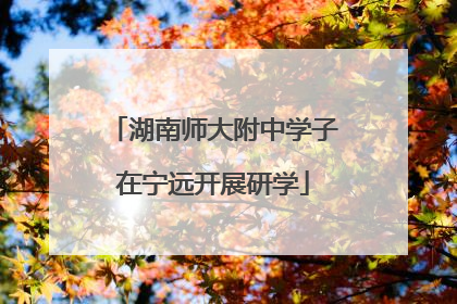 湖南师大附中学子在宁远开展研学