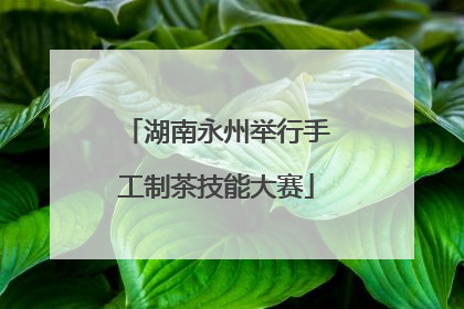湖南永州举行手工制茶技能大赛