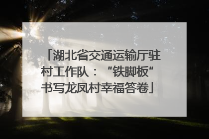 湖北省交通运输厅驻村工作队：“铁脚板”书写龙凤村幸福答卷