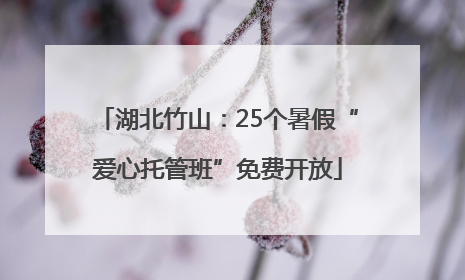 湖北竹山：25个暑假“爱心托管班”免费开放