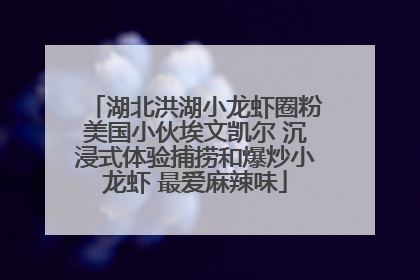 湖北洪湖小龙虾圈粉美国小伙埃文凯尔 沉浸式体验捕捞和爆炒小龙虾 最爱麻辣味