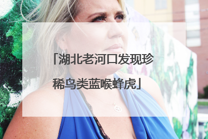 湖北老河口发现珍稀鸟类蓝喉蜂虎