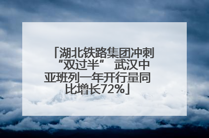 湖北铁路集团冲刺“双过半” 武汉中亚班列一年开行量同比增长72%