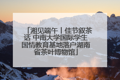 湘见端午丨佳节叙茶话 中南大学国际学生国情教育基地落户湖南省茶叶博物馆