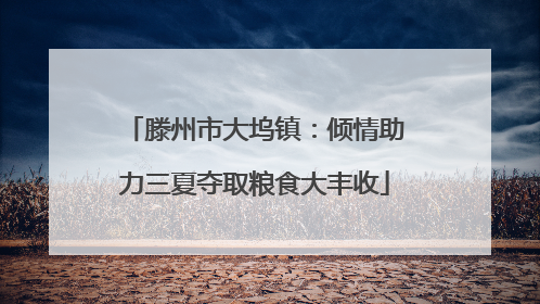 滕州市大坞镇：倾情助力三夏夺取粮食大丰收