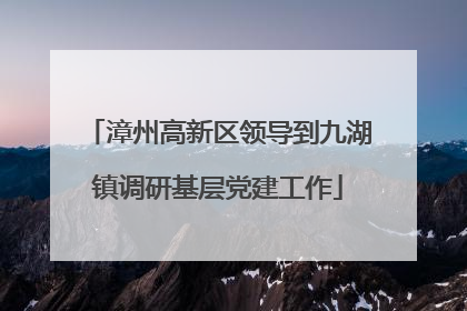 漳州高新区领导到九湖镇调研基层党建工作