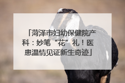 菏泽市妇幼保健院产科：妙笔“花”礼！医患温情见证新生奇迹