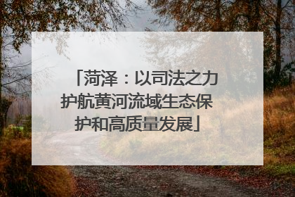 菏泽：以司法之力护航黄河流域生态保护和高质量发展