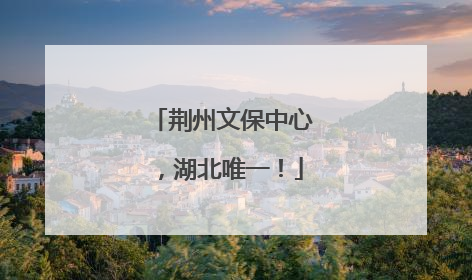 荆州文保中心，湖北唯一！