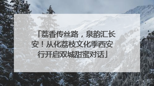 荔香传丝路，泉韵汇长安！从化荔枝文化季西安行开启双城甜蜜对话