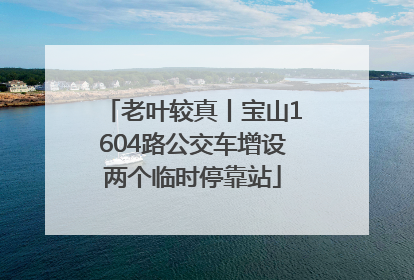 老叶较真丨宝山1604路公交车增设两个临时停靠站