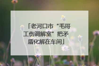 老河口市“毛哥工伤调解室”把矛盾化解在车间
