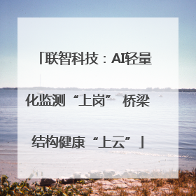 联智科技：AI轻量化监测“上岗” 桥梁结构健康“上云”