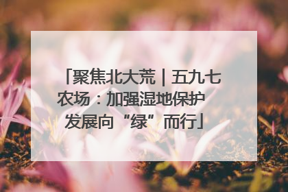 聚焦北大荒｜五九七农场：加强湿地保护 发展向“绿”而行