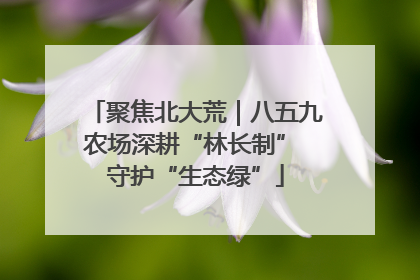 聚焦北大荒｜八五九农场深耕“林长制” 守护“生态绿”