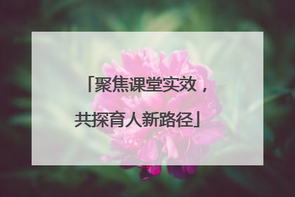 聚焦课堂实效，共探育人新路径