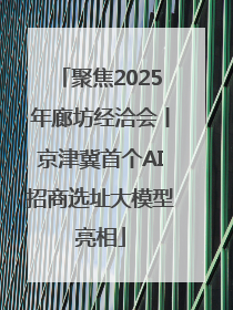 聚焦2025年廊坊经洽会丨京津冀首个AI招商选址大模型亮相
