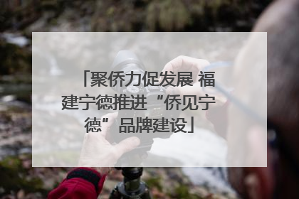聚侨力促发展 福建宁德推进“侨见宁德”品牌建设