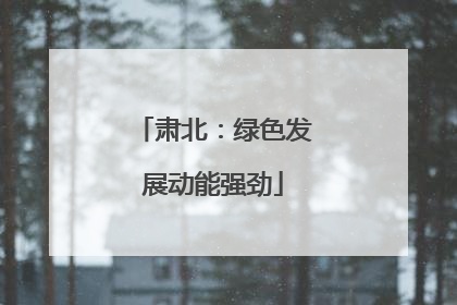 肃北：绿色发展动能强劲