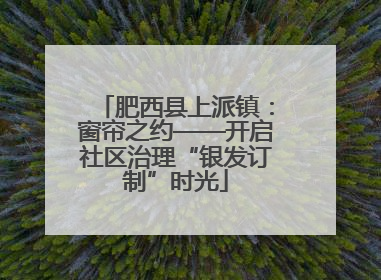肥西县上派镇：窗帘之约——开启社区治理“银发订制”时光