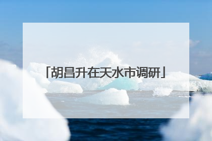 胡昌升在天水市调研