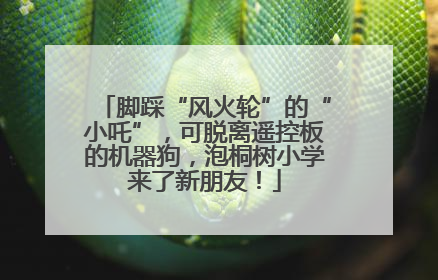脚踩“风火轮”的“小吒”，可脱离遥控板的机器狗，泡桐树小学来了新朋友！